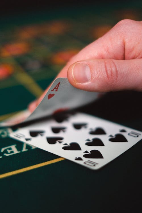 Betchamps Qatar VIP Loyalty Program Overview: Benefits And Features