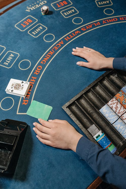 Betchamps Qatar Betting Analytics: Insights Into Sportsbook Data And Performance