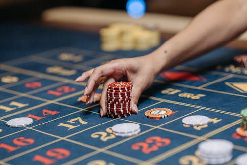 Betchamps Qatar Mobile Betting Application: Features And Usage