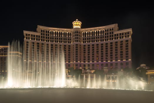 Betchamps Qatar Privacy Policy: Details And Implications For Gamblers