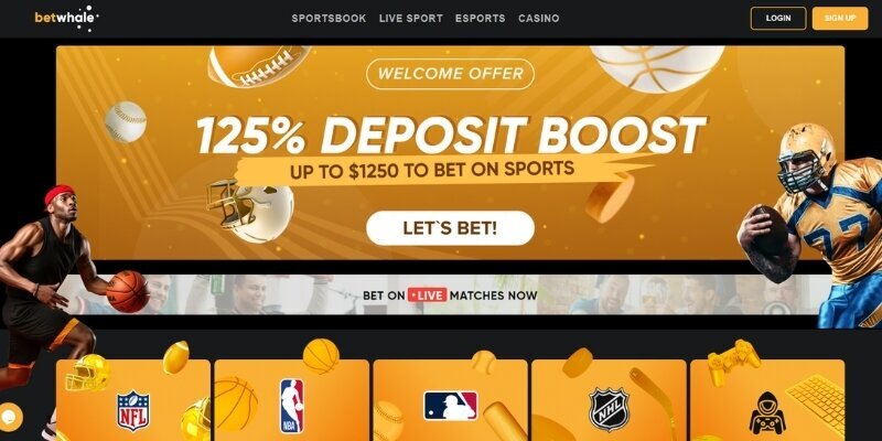 Betchamps Qatar Technical Support For Slot And Casino Gaming