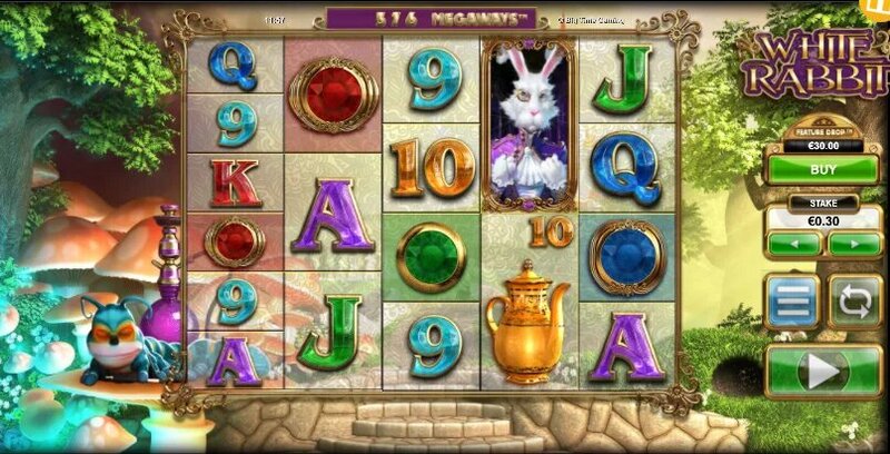 Betchamps Qatar Licensed Betting Site: Details And Features