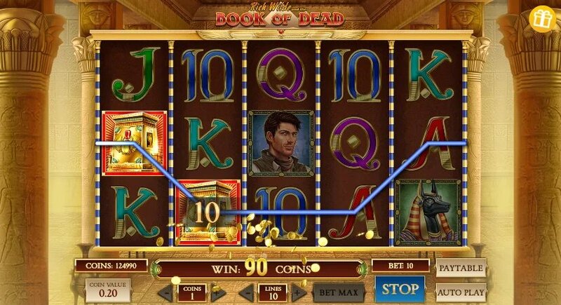 Betchamps Qatar Privacy Policy: Details And Implications For Gamblers