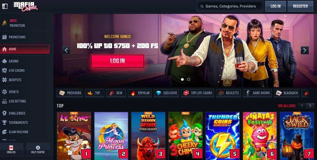 Betchamps Qatar Live Scores: Schedule, Updates, And Features