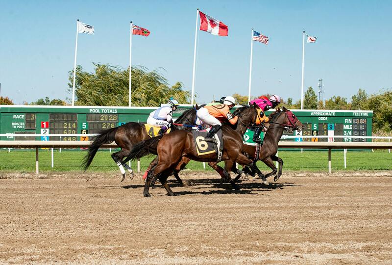 Betchamps Qatar Top Online Bookmaker Qatar: A Detailed Overview