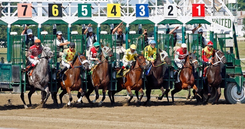 Betchamps Qatar Latest Updates: Gambling And IGaming Developments
